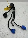 IMG_2982.webp
