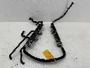 IMG_3361.webp