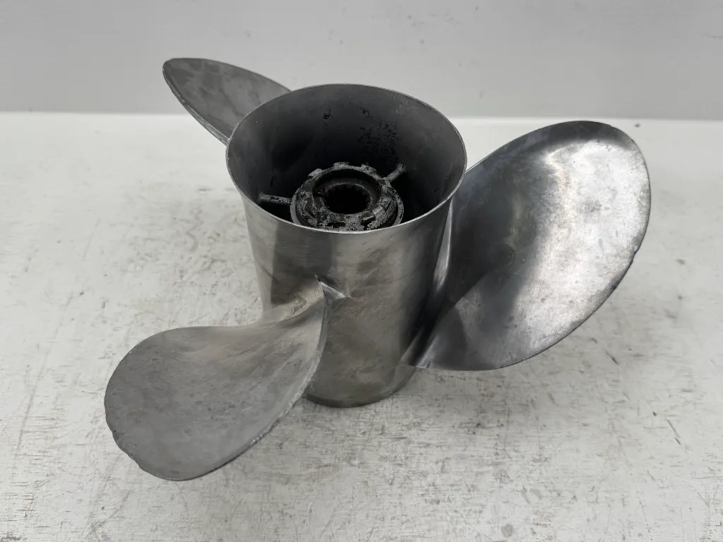 IMG_6273.webp