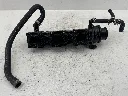 IMG_6727.webp