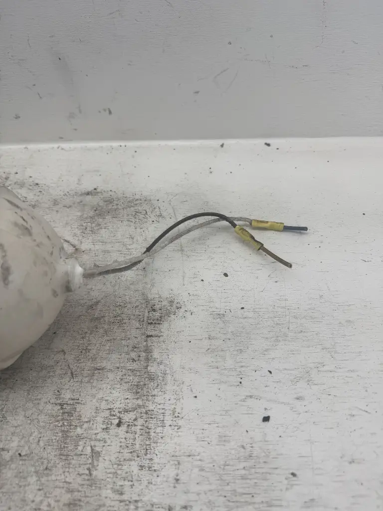 IMG_2273.webp